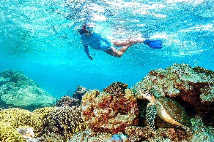 マルサ・アラム発マルサ・ムバラク終日シュノーケル旅行(ランチ付き)