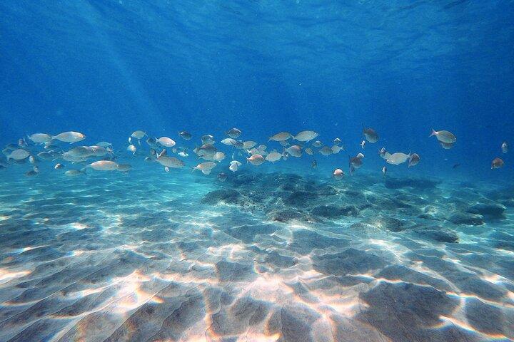 Scopri le immersioni subacquee a Costa Calma