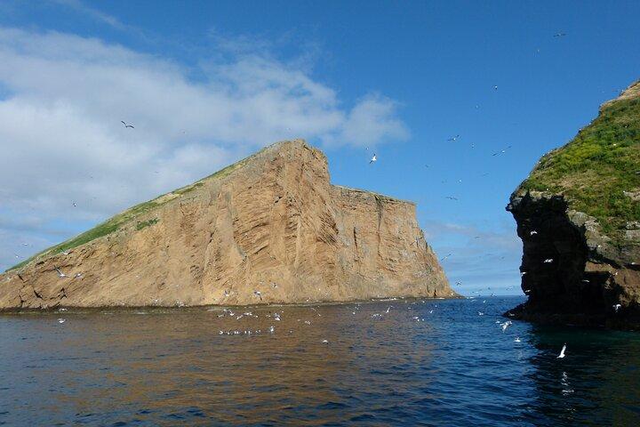 Ilha de Terceira | Excursão Privada: Ilhéus das Cabras
