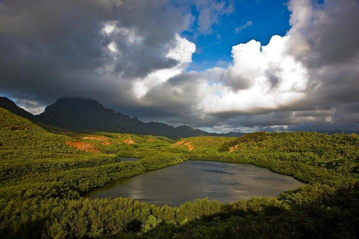 Cascate private di Kauai Eastside e macine locali