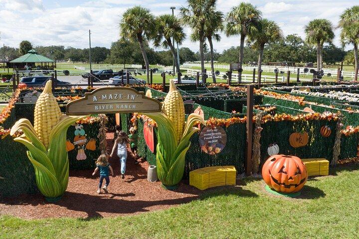 Central Florida Adventure Park - Authentieke Dude Ranch-ervaring