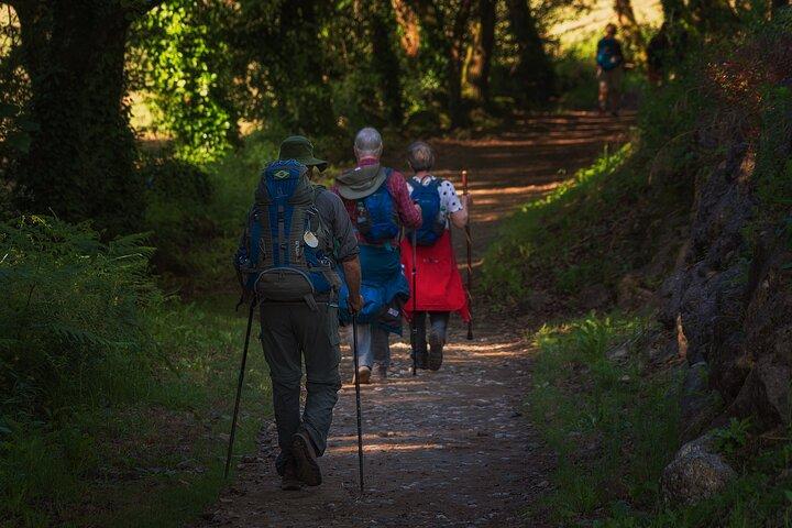 Portugese Camino de Santiago van Tui naar Santiago de Compostela
