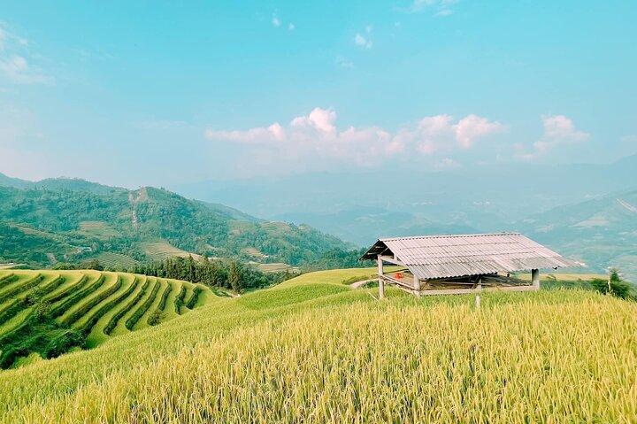 Carro particular 2 dias 1 noite Hoang Su Phi em Hagiang