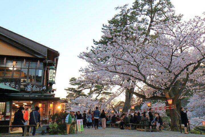 Kanazawa Cherry Blossom Tour: Private & Personalized with a Guide