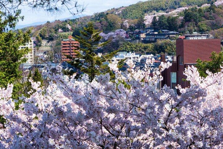 Kanazawa Cherry Blossom Tour: Private & Personalized with a Guide