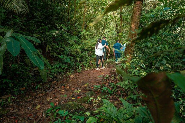 Sentieri escursionistici naturali dell'Arenal