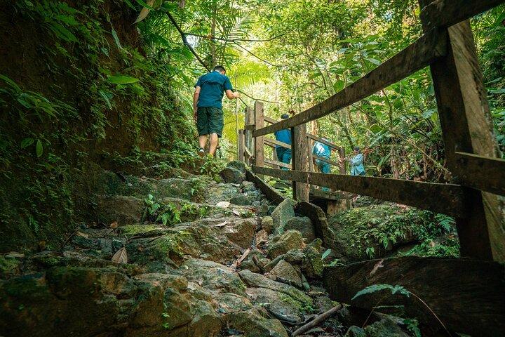 Sentieri escursionistici naturali dell'Arenal