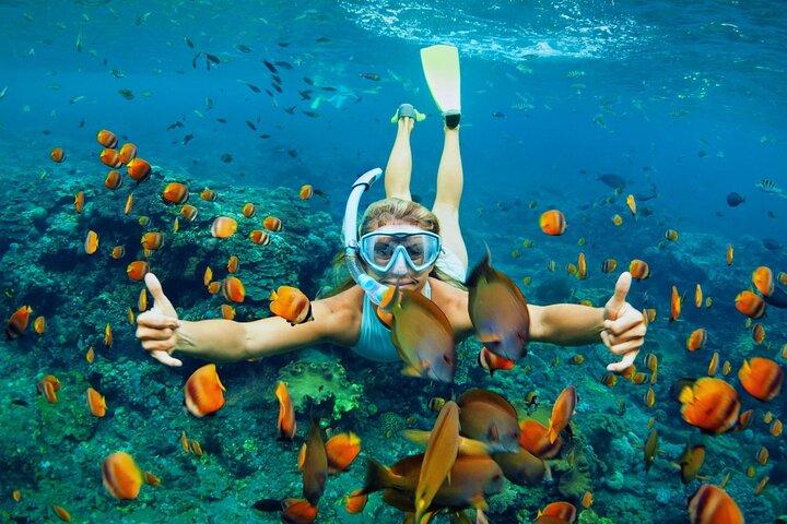 Lihaga Island (weiße Sandinsel) schwimmt zweimal, inklusive Mittagessen und Eintrittskarten