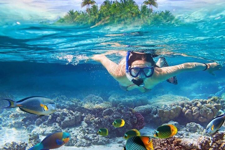 Lihaga Island (weiße Sandinsel) schwimmt zweimal, inklusive Mittagessen und Eintrittskarten
