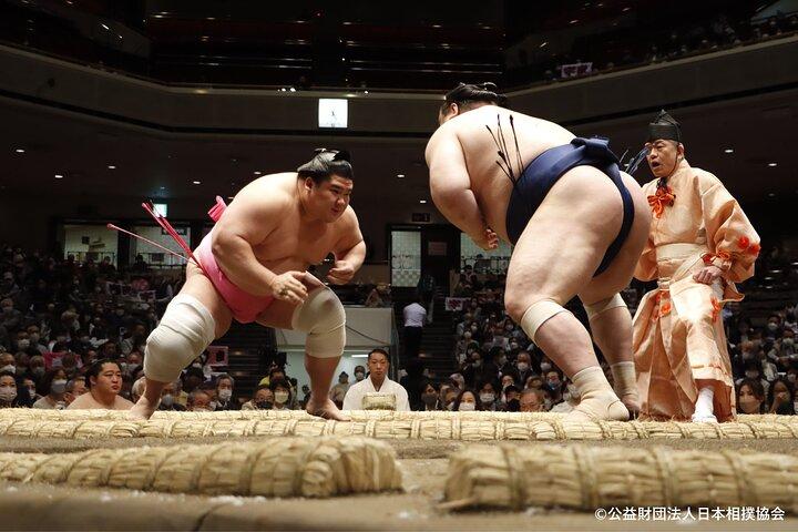 Tokyo Grand Sumo Tournament Viewing Tour