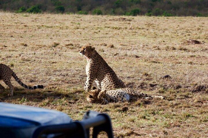 Private 12 Days Journey to Golden Memories in Kenya and Tanzania