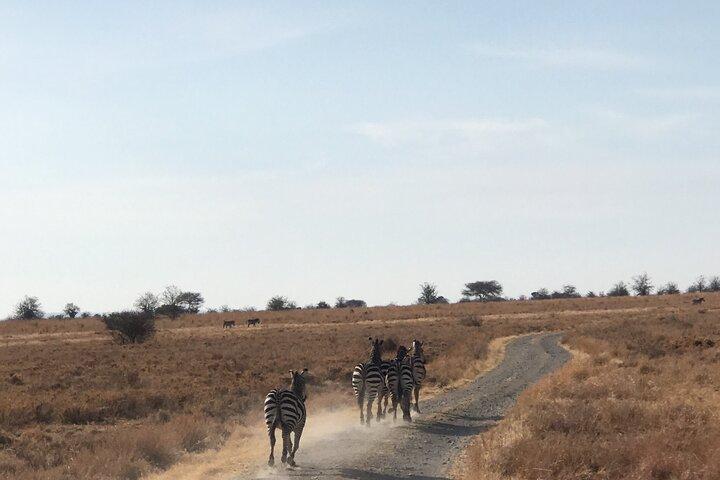 Tour privato di 2 giorni di una notte nel Tarangire National Park