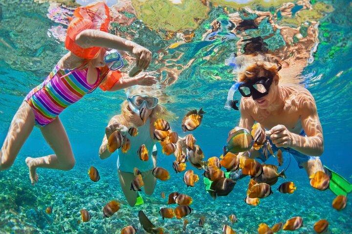 Tyrolienne, plongée en apnée et plage de West Bay à Roatán
