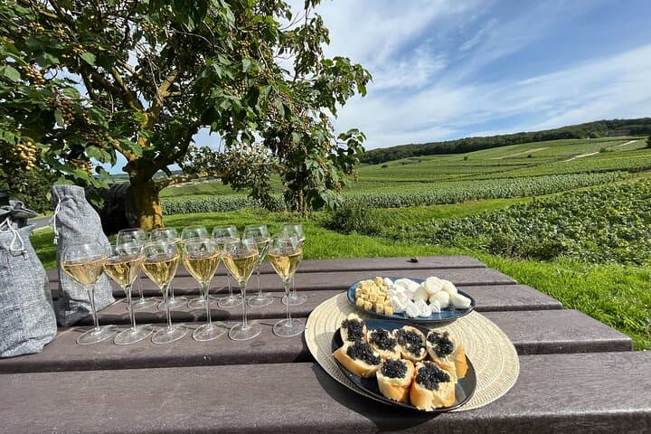 Paris: Champagne Day Trip with Tastings, Cathedral & Pickup
