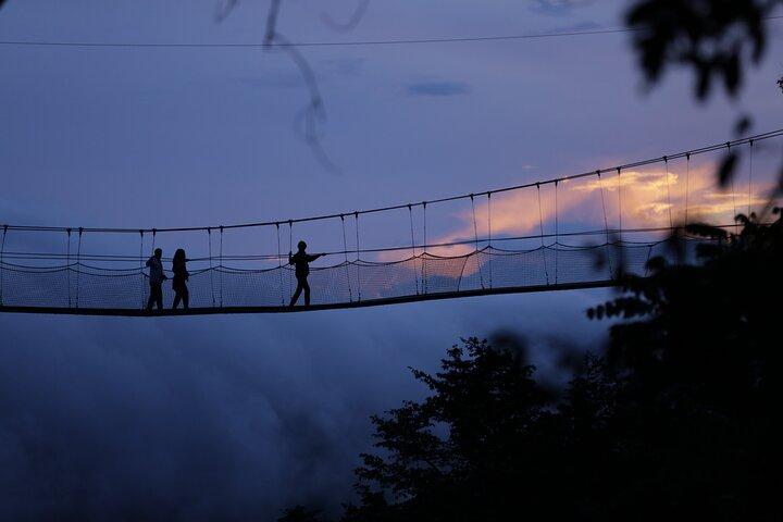 2-daagse Chimpansee trekking & Canopy loopbrug in Nyungwe NP