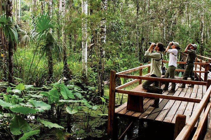 4-dages tur i Tambopata National Reserve