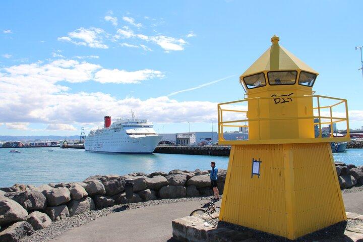 Privat Reykjavík City Tour