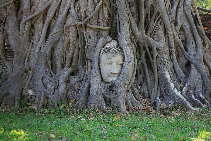 水上マーケットと有名な寺院を巡るアユタヤのランドマーク ツアー