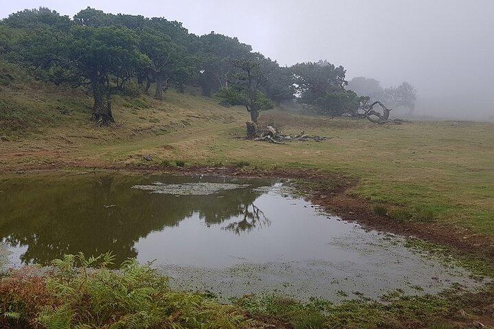 Private vandfald og Fanal Forest Tour