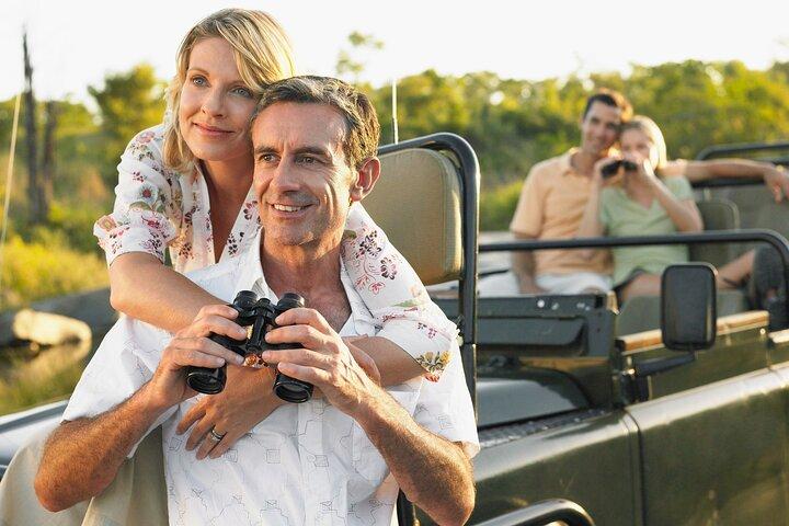Elephant Safari Private Adventure : Excursion dans le parc national Addo