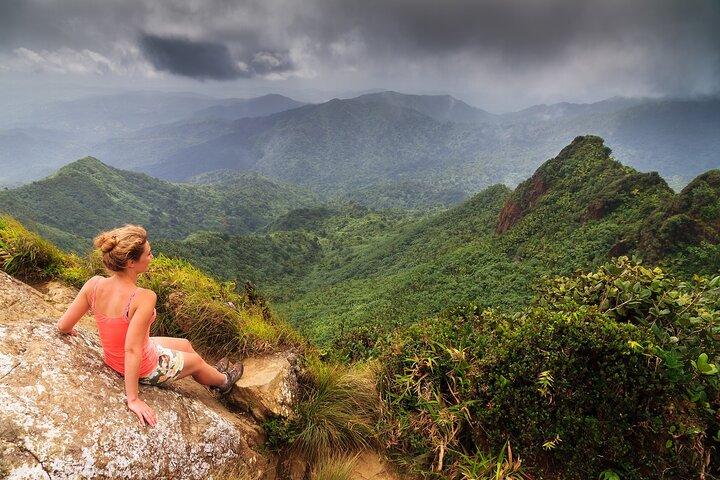 Halbtägige private Abenteuertour im El Yunque-Regenwald