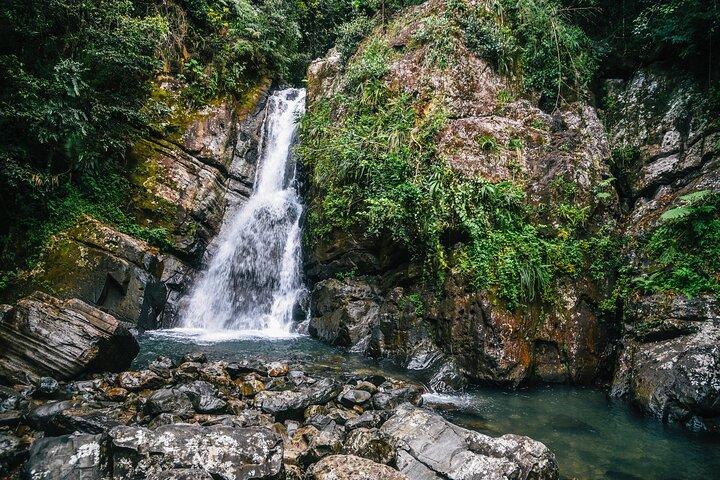 Halbtägige private Abenteuertour im El Yunque-Regenwald