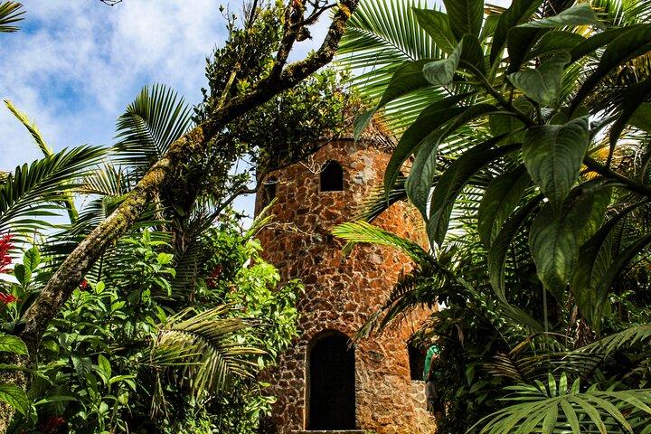 Halbtägige private Abenteuertour im El Yunque-Regenwald