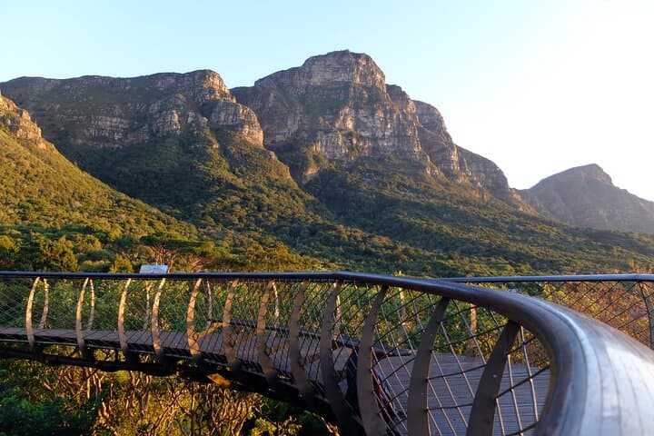 Skeleton Gorge Hike up Table Mountain