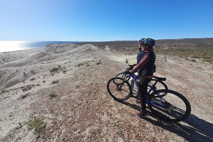 VTT et observation des lions de mer à Puerto Madryn