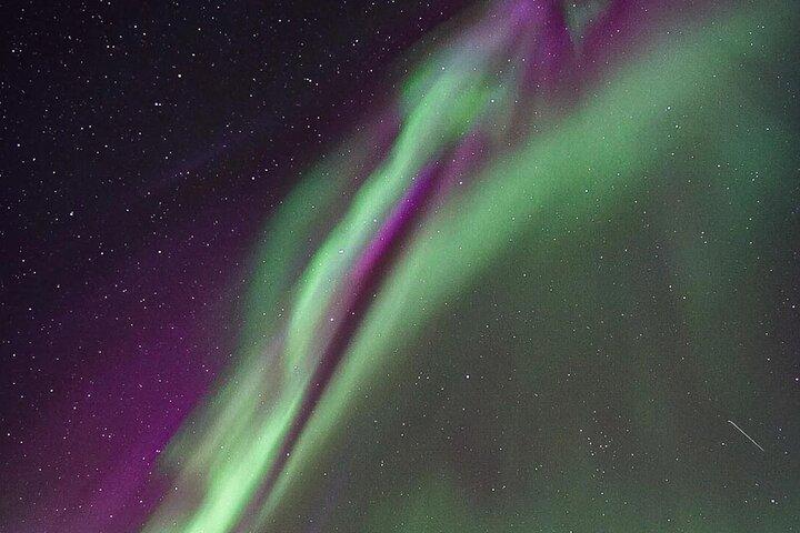 Fra Rovaniemi: Aurora Dreamscape Tour i Lapland