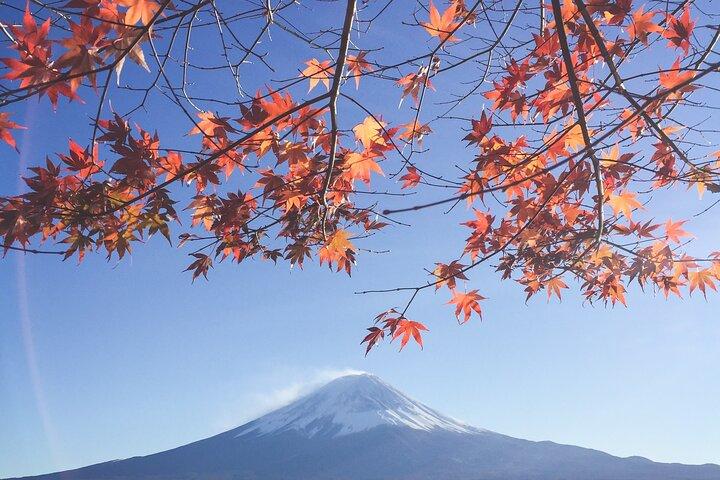 高級車で行く富士山への 1 日プライベート ツアー
