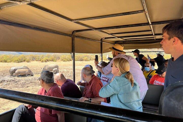 Au départ du Cap : Big Five Safari Tour