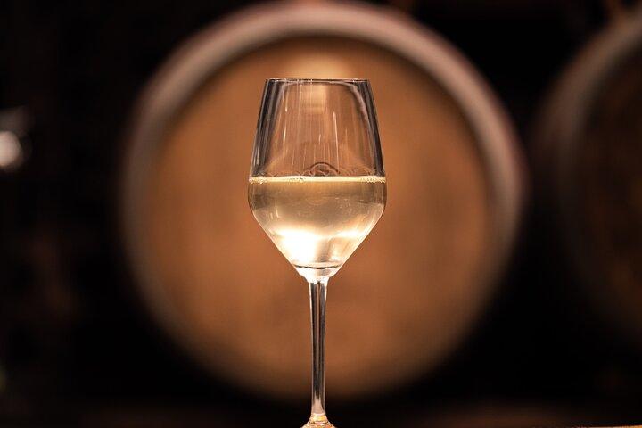 Tour Wine Express della Valle del Vipava da Lubiana