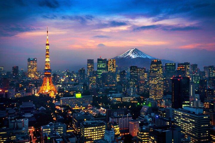 英語ドライバー付き東京発富士山プライベート日帰りツアー