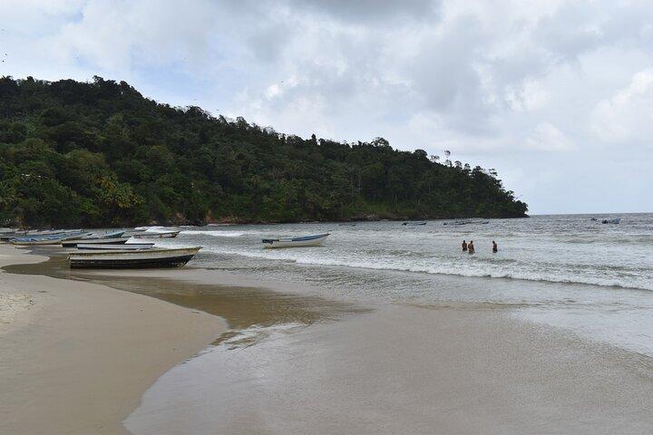 Private Tour North Coast Mountain Tour & Maracas Beach