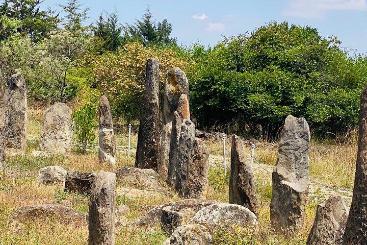 アダディ ロックとティヤ考古学ツアーへの日帰り旅行