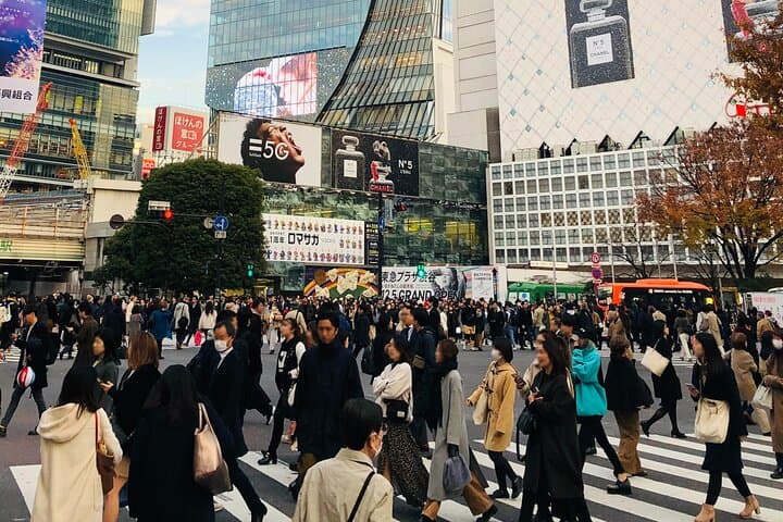 Tokyo Morning City Tour with Pick-up Service from 28 Hotels