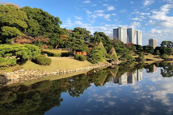 Tokyo Afternoon Tour with Pick-up Service from designated hotels