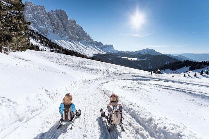 Dolomites of Bolzano Winter Hiking & Sledding Experience