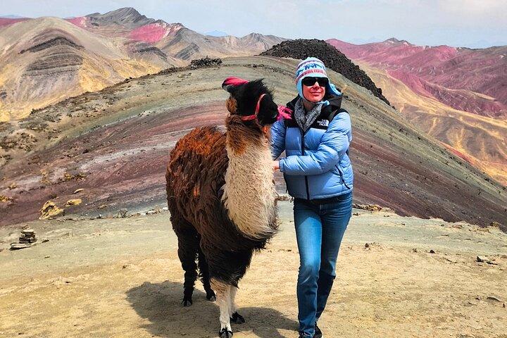 Private Palcoyo Rainbow Mountain & Alpaca Walk Experience