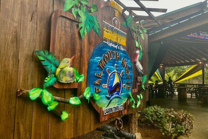 Martha Brae River Rafting & Luminous Lagoon Private Tour Falmouth