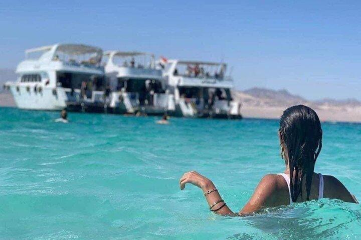 Sharm El-Sheikh : Ras Mohamed & White Island シュノーケリングトリップ