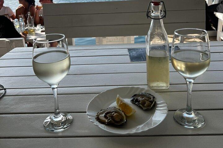 Granja de Ostras y Mejillones( Perast y Dama de las rocas )