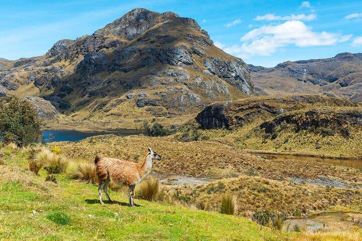 Halvdag privat tur til Cajas National Park fra Cuenca
