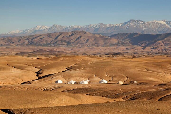 Marrakech: Dinner Show in Agafay Desert with Quad Bike and Camels