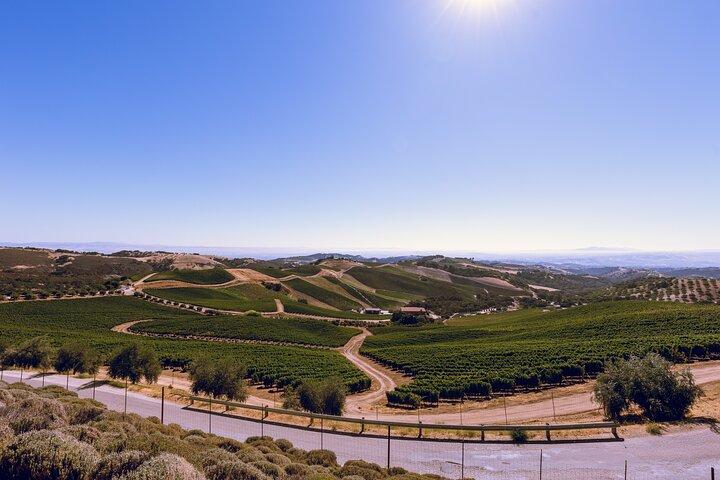 3 - Winery Paso Robles Tour com almoço de piquenique a partir de Paso Robles