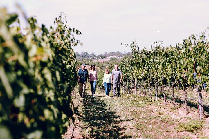 3 - Winery Paso Robles Tour com almoço de piquenique a partir de Paso Robles