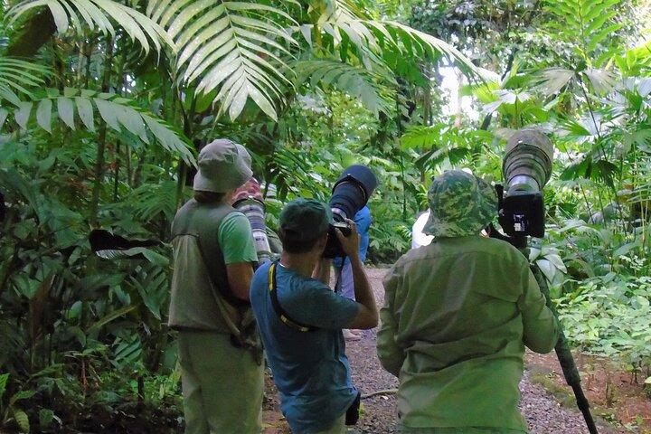 La Fortuna Schmetterlingsgarten und Wildpark GRUPPENtour