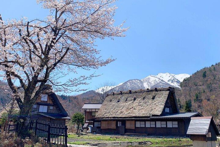 Excursion privée d'une journée à Shirakawa-go et Hida-Takayama au départ de Nagoya