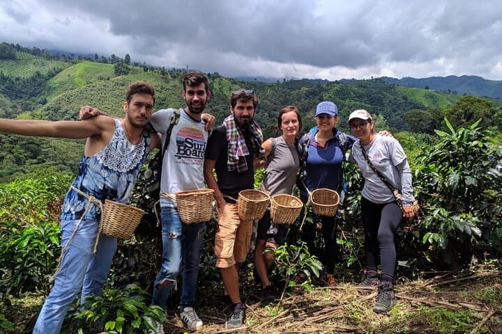 Private Tour to Karunguru Coffee Farm